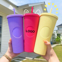 710ml Double-Layer Insulated Plastic Straw Cup