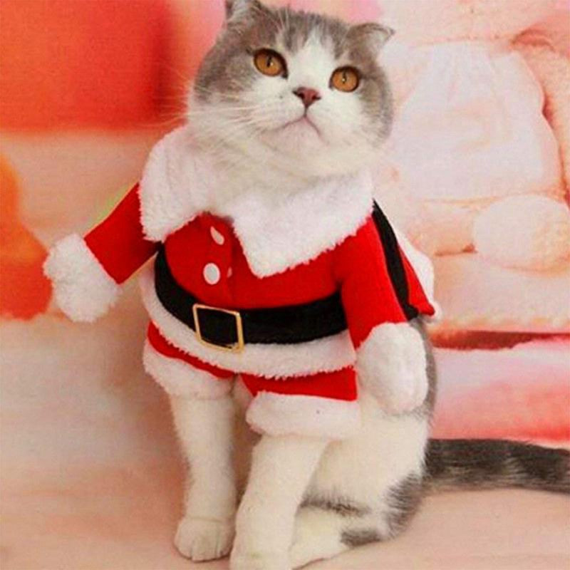 b69d2ec9e84f5aa4854ea8872768ce33e1be863fa12608868315c909391ffba2