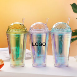 Double Insulation Straw Cup