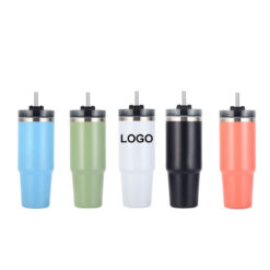 Double Layer Vacuum Straw Tumbler