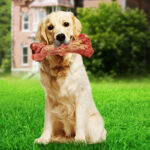 9d74c9279d6319497e5e425a1adbbffa631caa5c7ea2abd36eb49e2b4c03588e