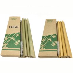Bamboo Respiratory Tract