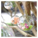 15c008117fba993c33e00dc9fb72e33ffbd1c66f6803ab499553d745cdc8cc02