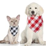 97715ae01a740ef7723b4c0f07a6ba9afc059287938f8d931f39b199b9da07d2