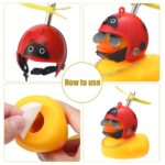 6e60486198bb30e3ffd973c55e353c2eabab6c1731c92a6c9767a7729ef1136f